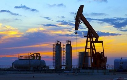 OPEC üyeleri, günlük 30 milyon varil üretime devam etme kararı aldı