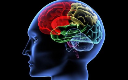 Bilim insanları beyindeki ‘navigasyon sistemini’ buldular