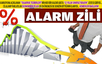 Alarm Zili