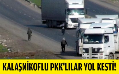 Kalaşnikoflu PKK’lılar yol kesti!