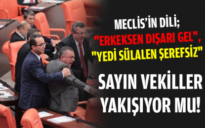 Meclis’te AKP’li ve CHP’li Vekiller Birbirine Girdi
