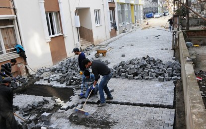 Altınova Mahallesi’nde Yol Yapım Çalışmaları Devam Ediyor