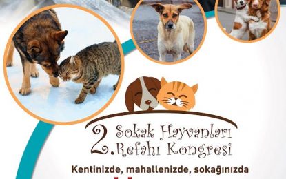 2. Sokak Hayvanları Refahı Kongresi Nilüfer’de yapılacak