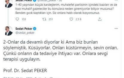 Prof. Dr. Sedat Peker’den yeni paylaşım: Muhalefete yüklendi