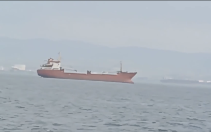 Gergerlioğlu, “Körfez’e demirleyen gemiler denizi kirletiyor”